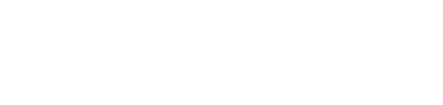 Logo PIN